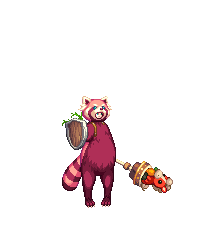 Racoon