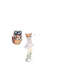 뉴히